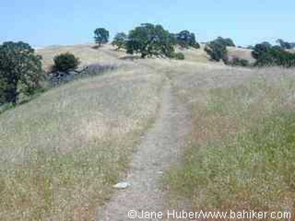 Mystic Ridge Trail