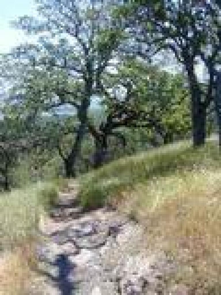 Mystic Ridge Trail