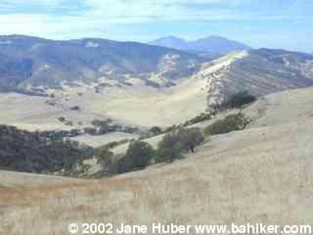 View to Mount Diablo