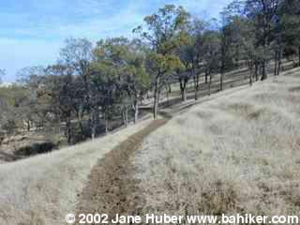 Hardy Canyon Trail