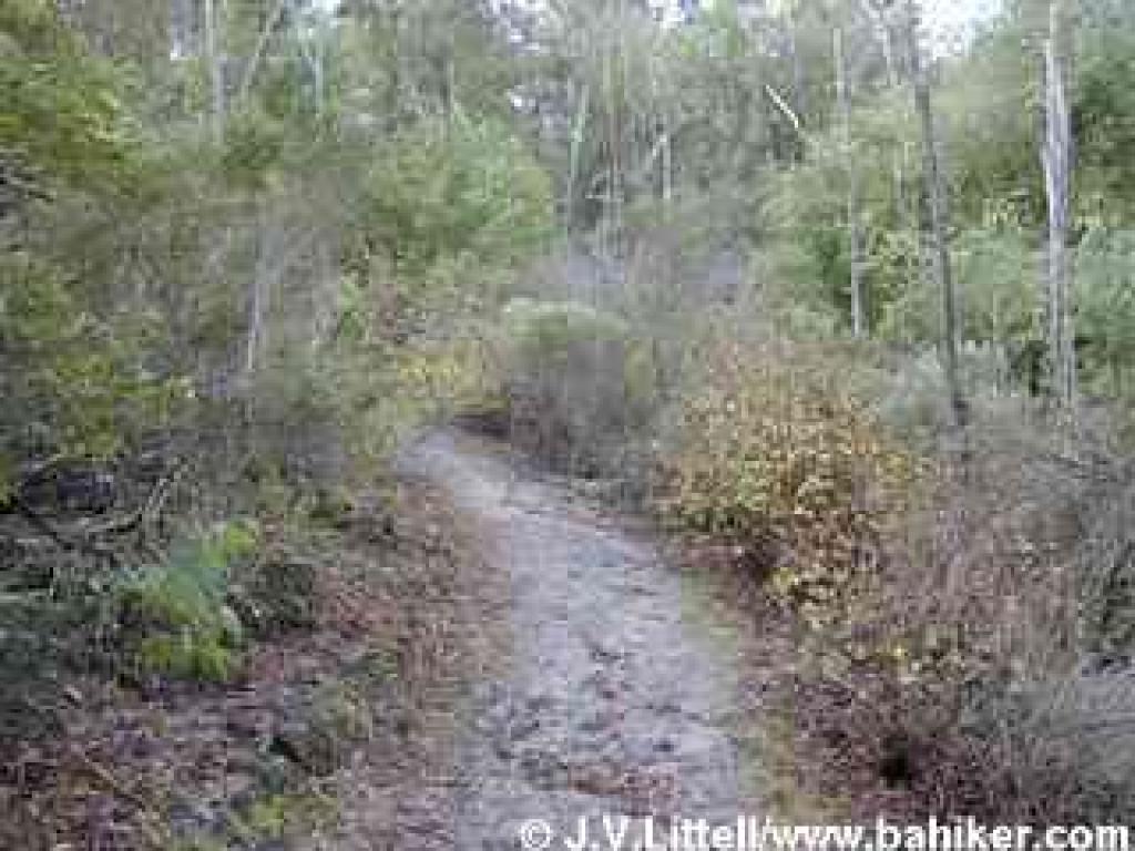 Path back to trailhead
