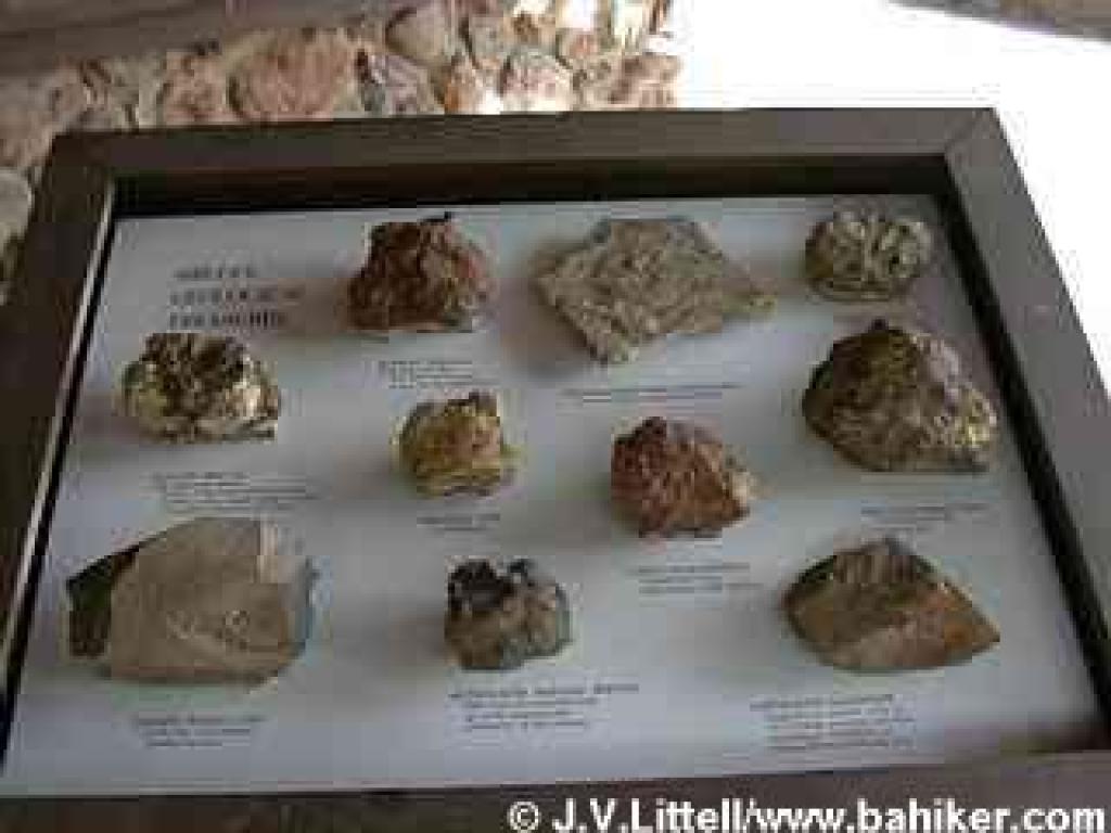 Rock display at Sibley