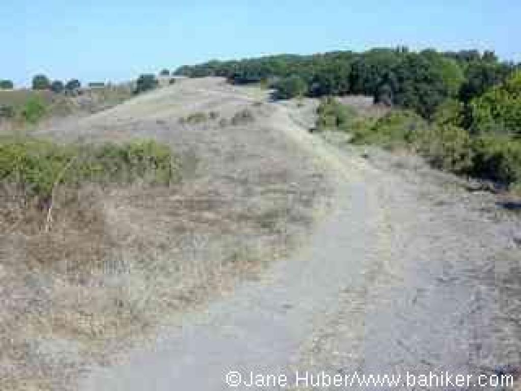 Sobrante Ridge Trail in summer