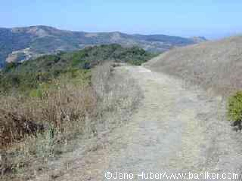 Manzanita Trail