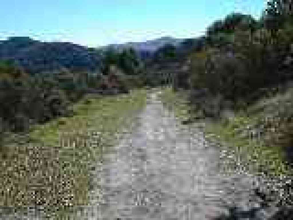 Sobrante Ridge Trail