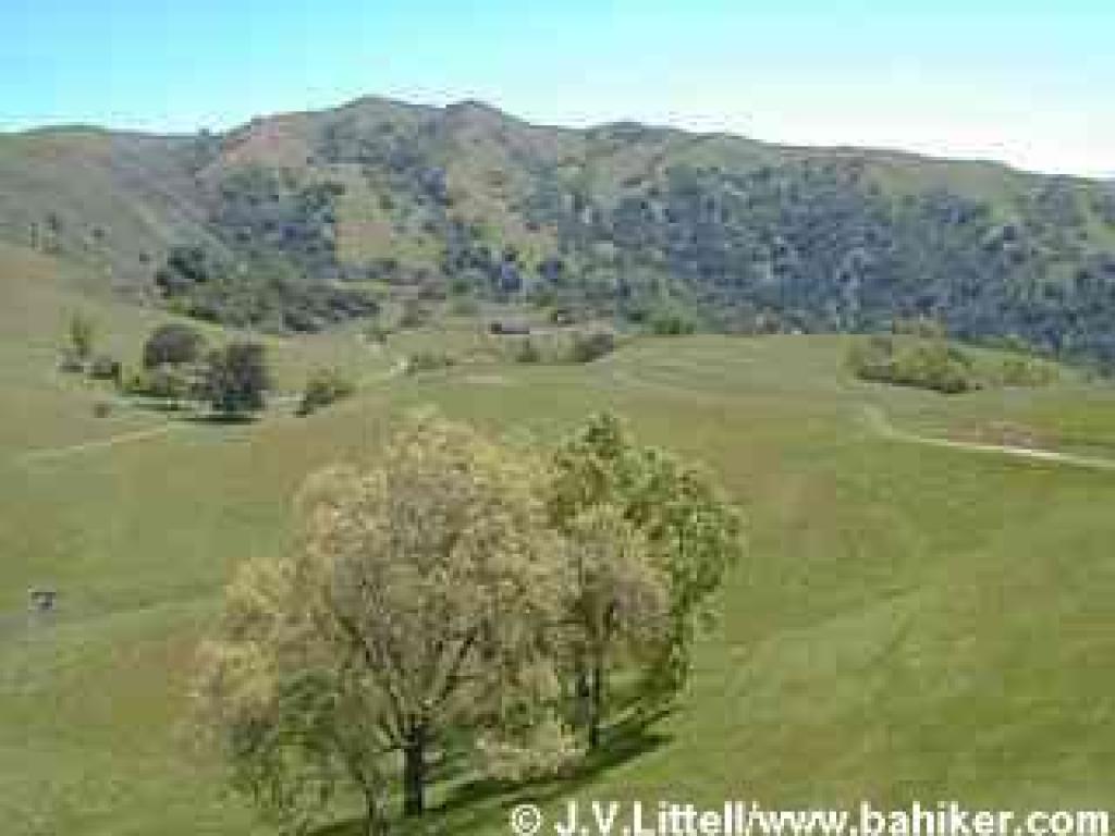 Photo from Flag Hill Road