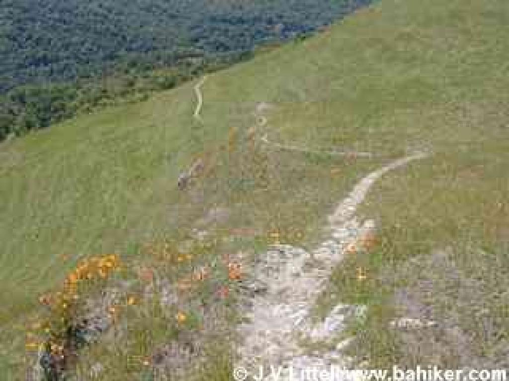 Photo of Flag Hill Trail