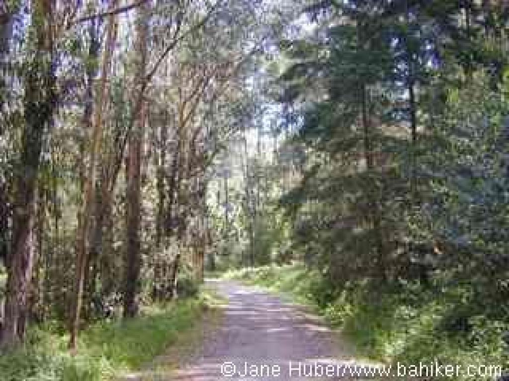 Loop Road