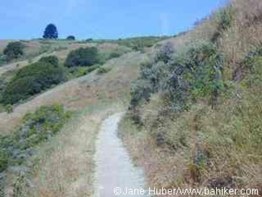 Wildcat Peak Trail