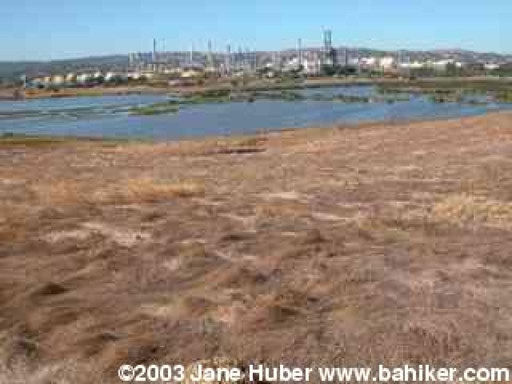 View of the marsh and refinery from the trail