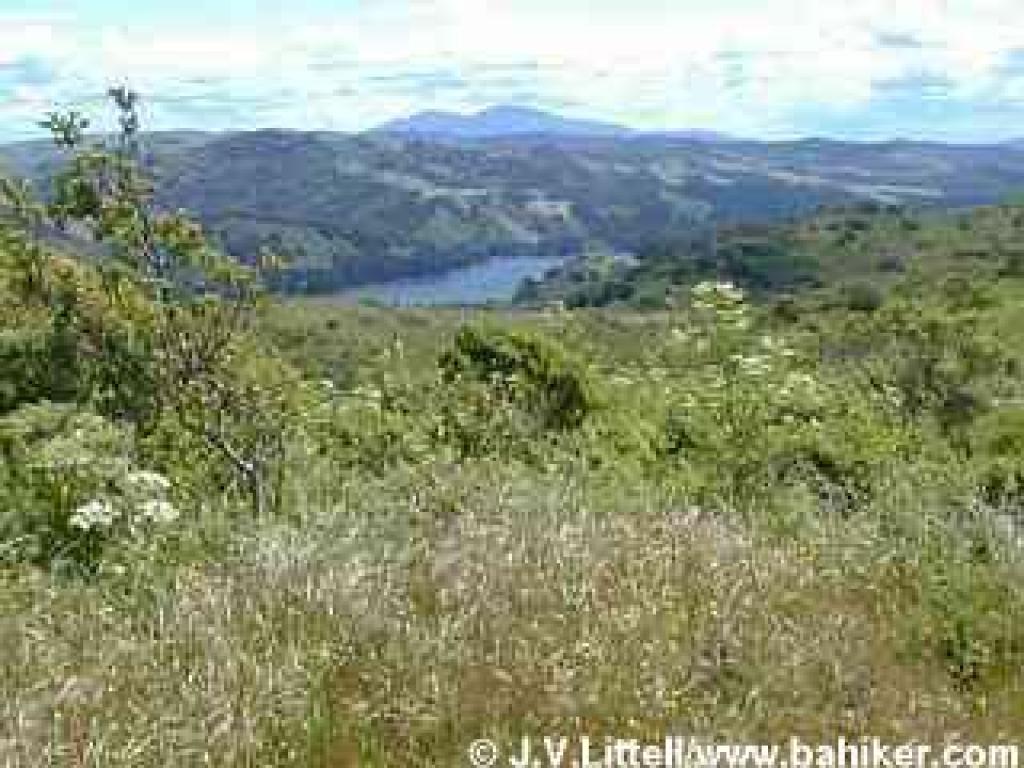 Photo looking east, with Mount Diablo visible