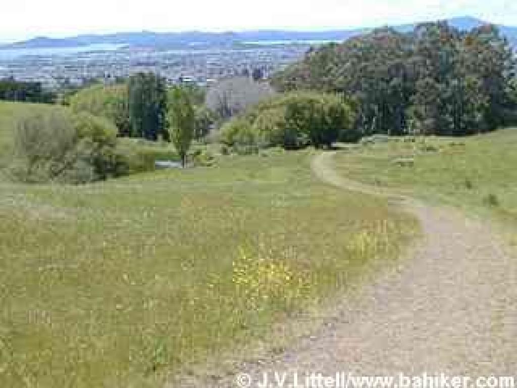 Belgum Trail