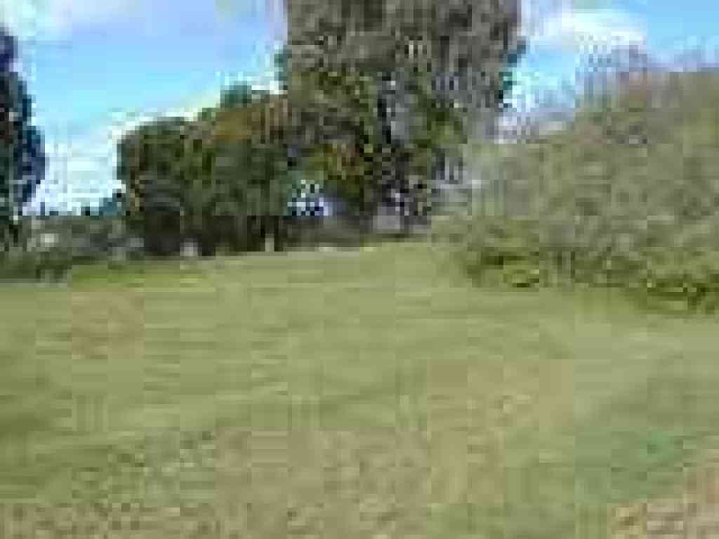 Grassy picnic area