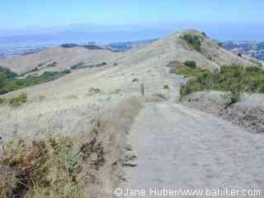 The Ridge in summer