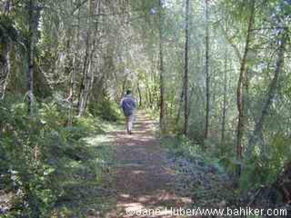 Griffin Loop Trail