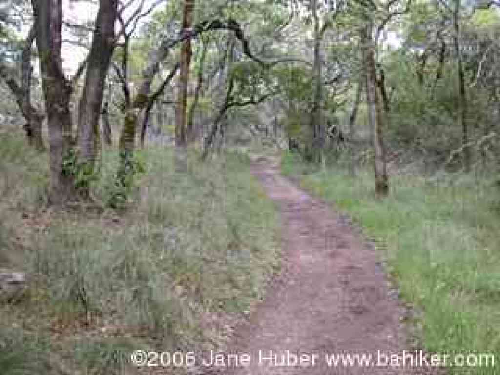 Lake Trail