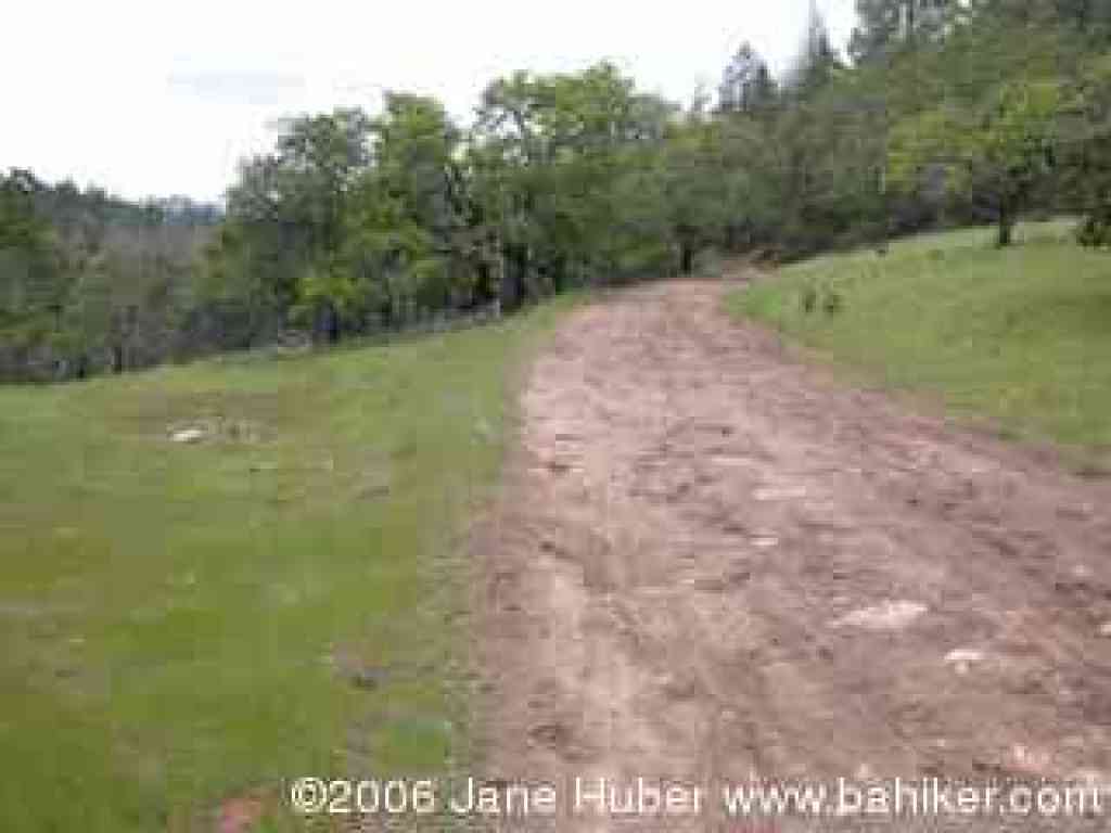 W. Richardson Trail