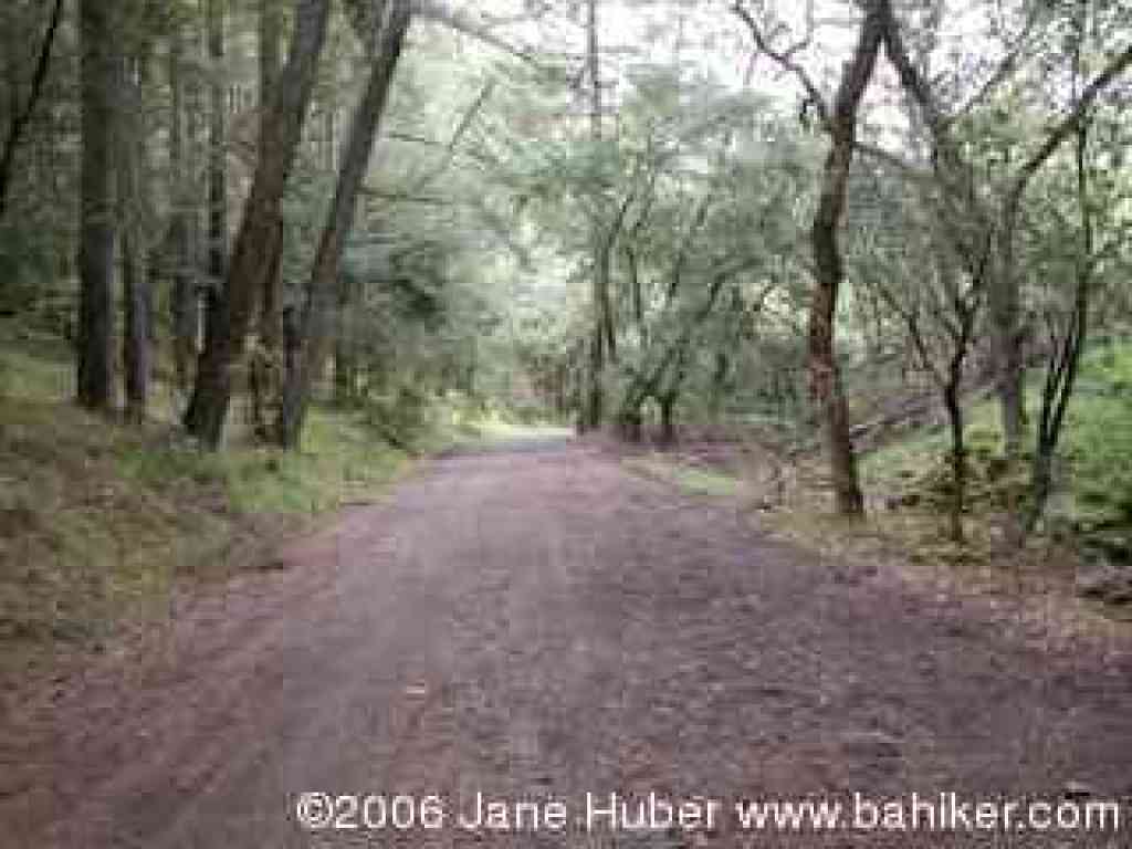 W. Richardson Trail
