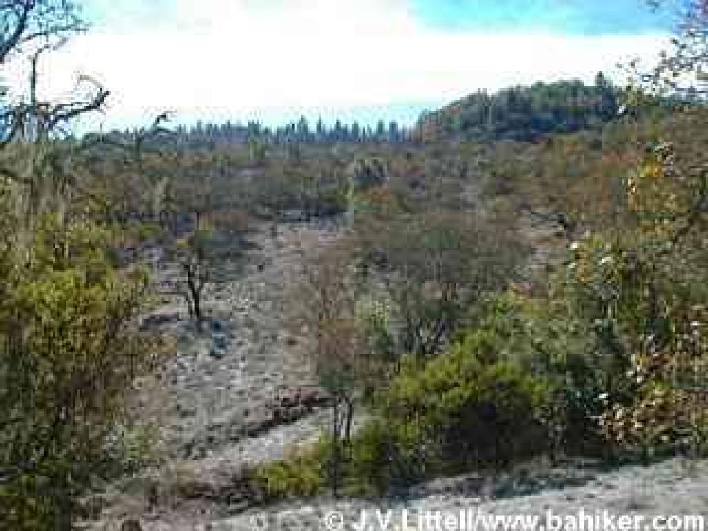 View from Cobblestone Trail