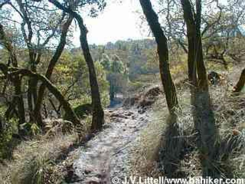 Cobblestone Trail
