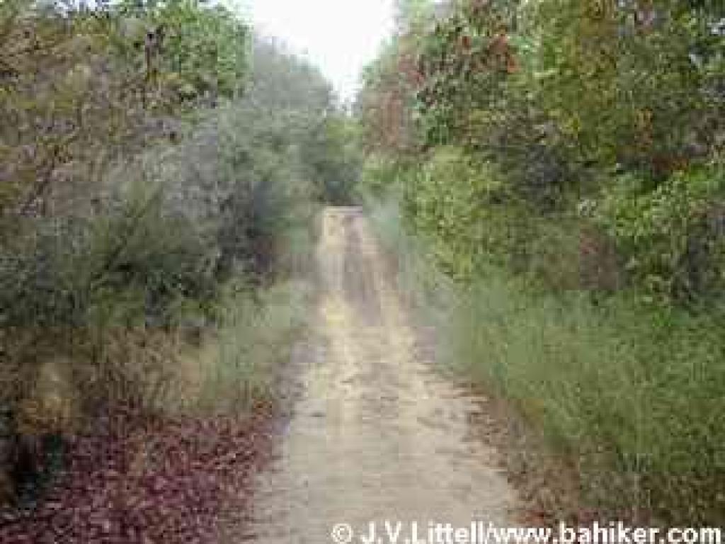 A steep section on Bay Hills Fire Road