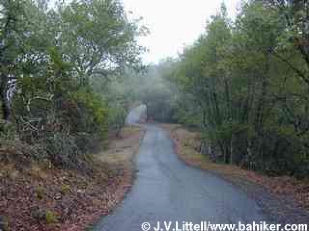 A paved section of the fire road