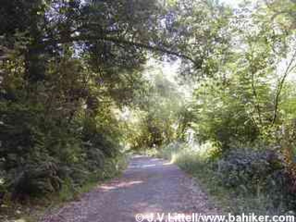 Bear Valley Trail