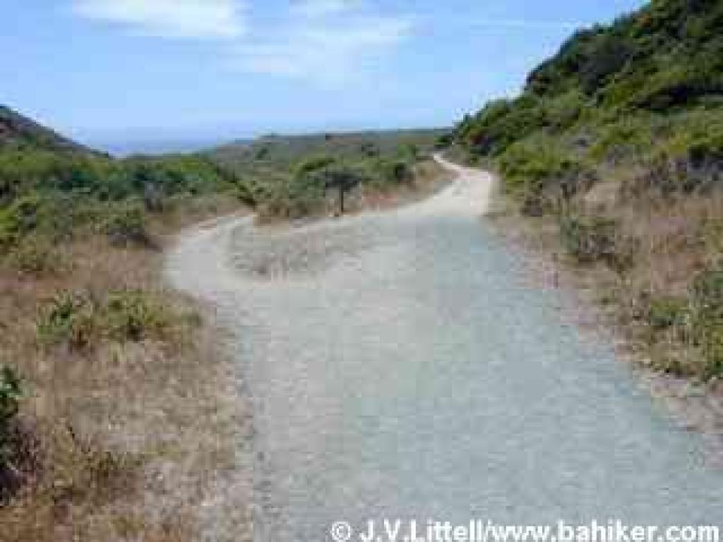Junction with Coast Trail