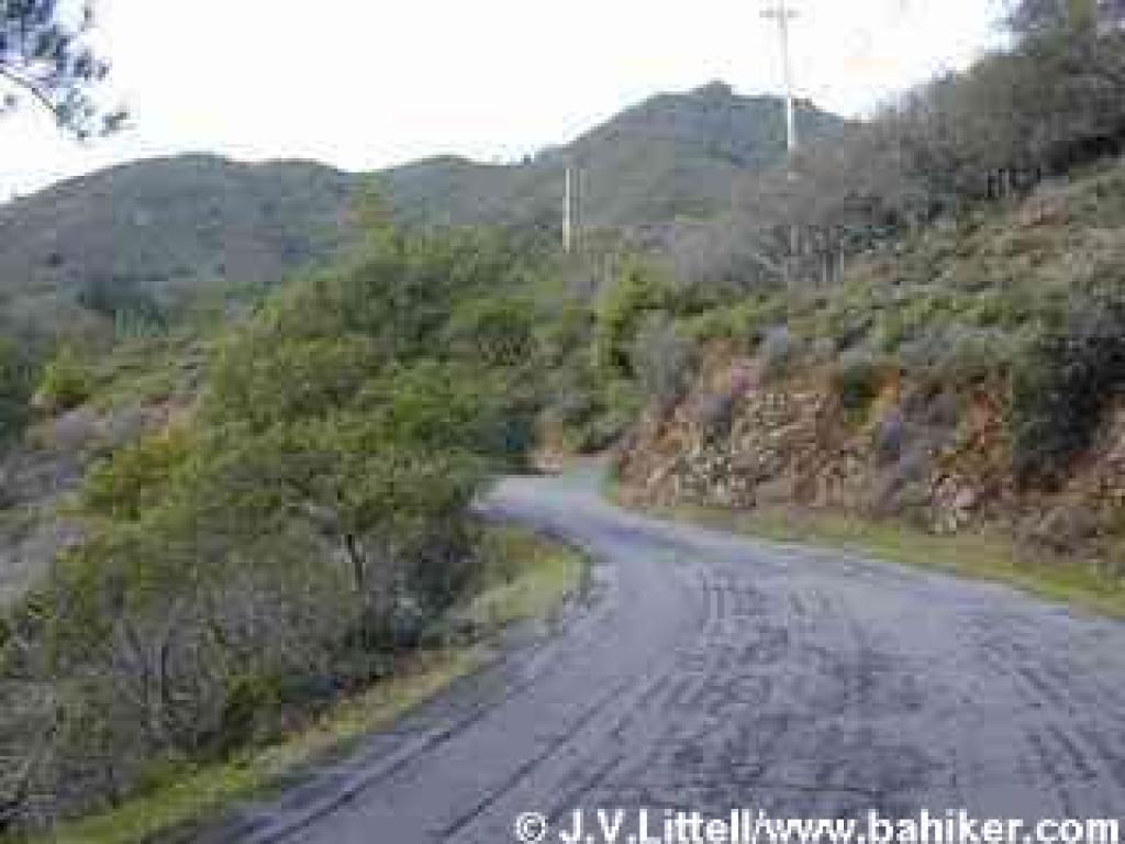 Fern Canyon Road