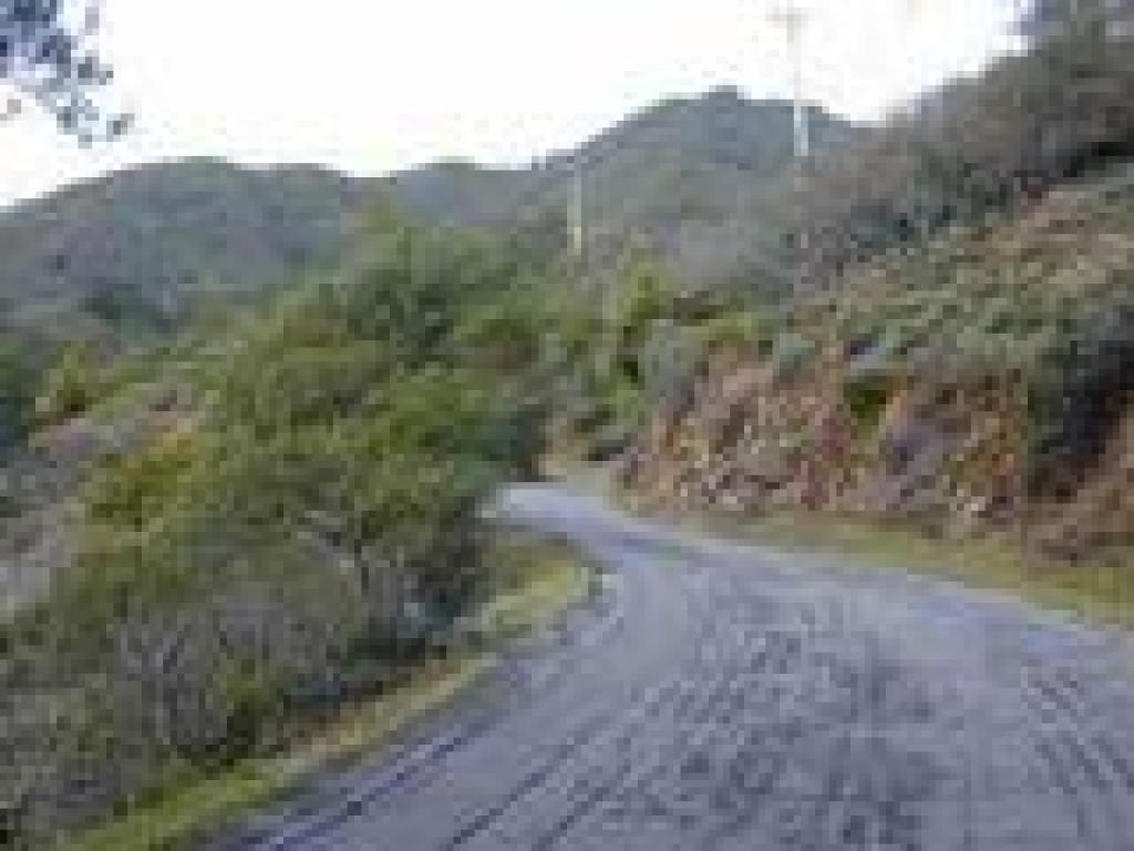 Fern Canyon Road