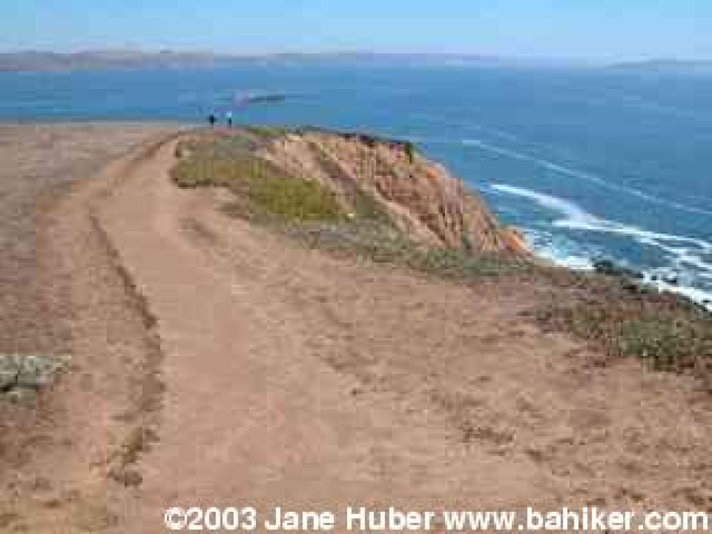 Bay Area Hiker Bodega Head