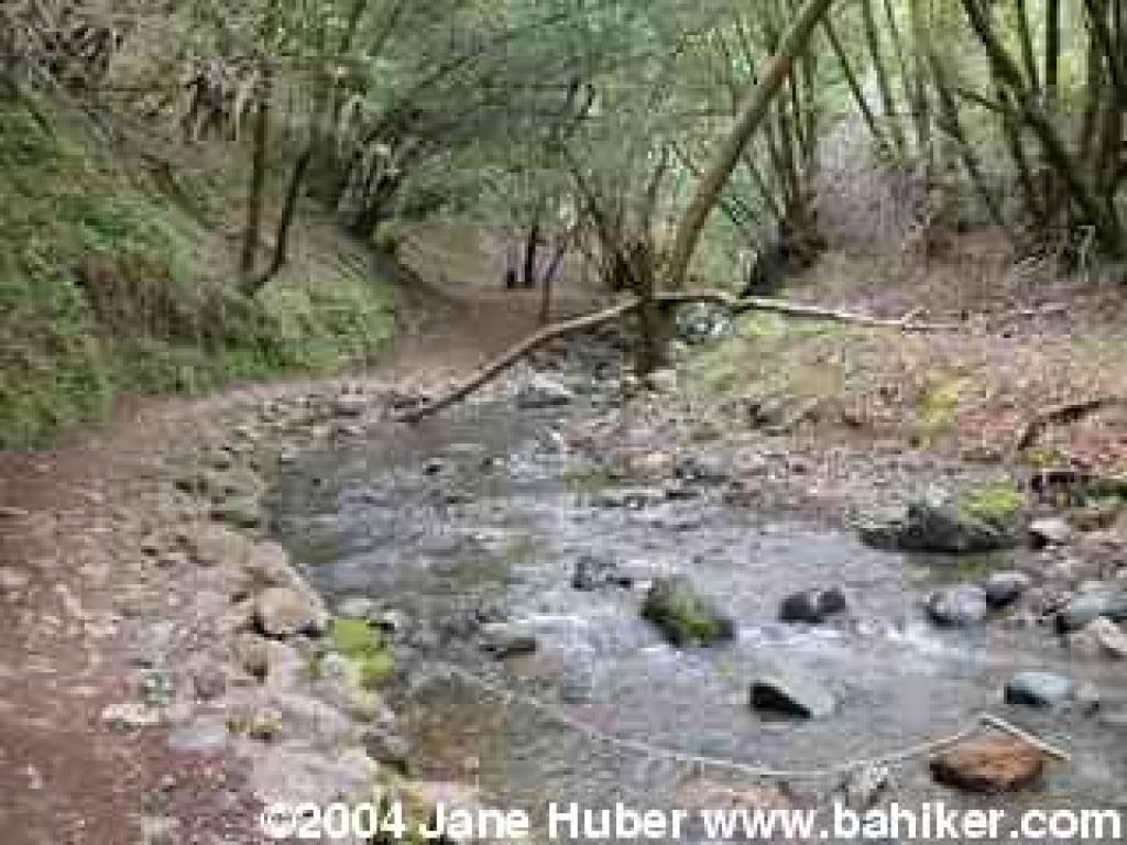 Cascade Falls Trail