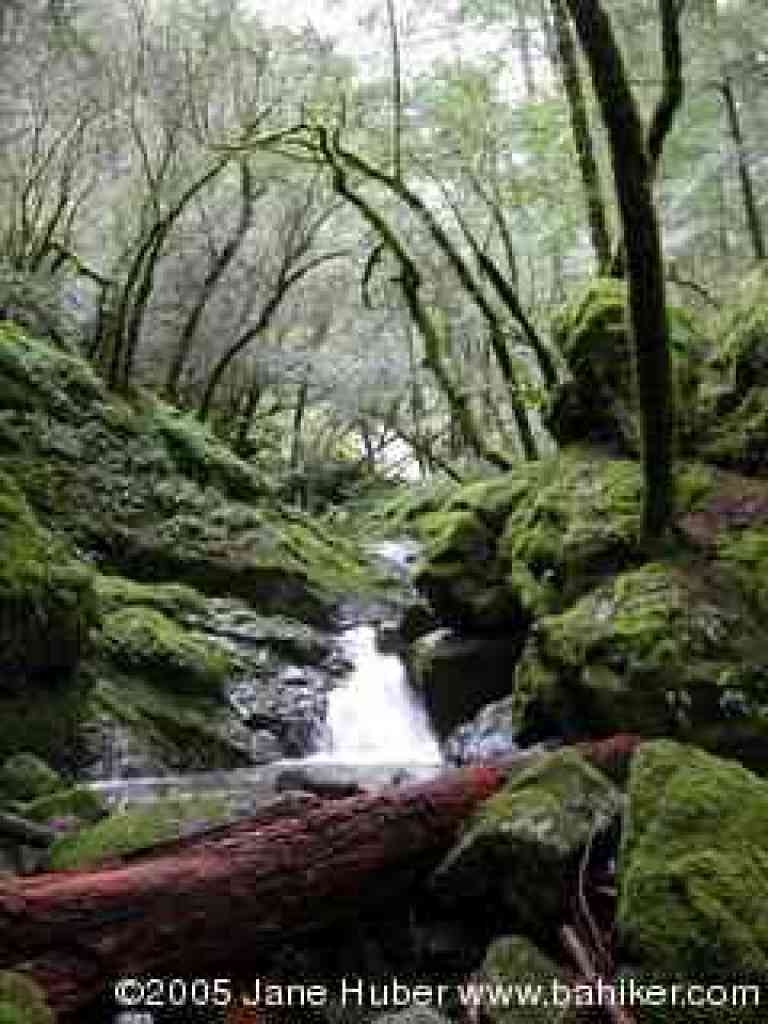 Upper falls