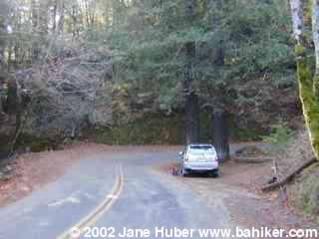Side of road parking