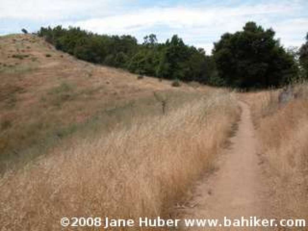 Oak Ridge Trail