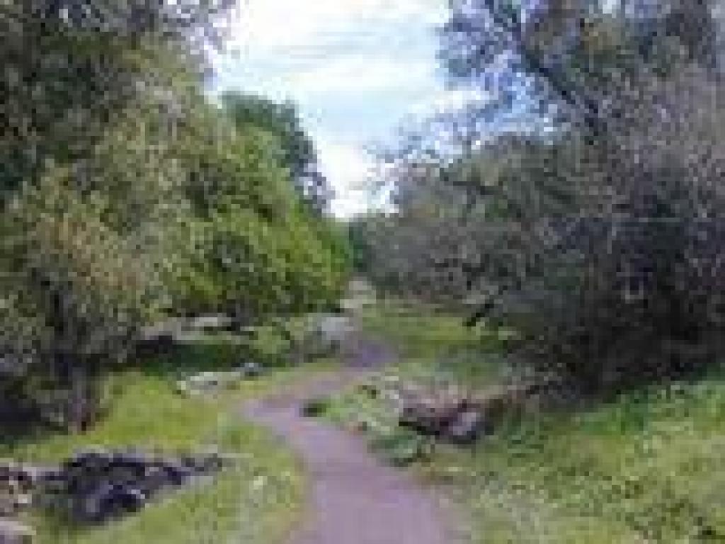 Creek Trail