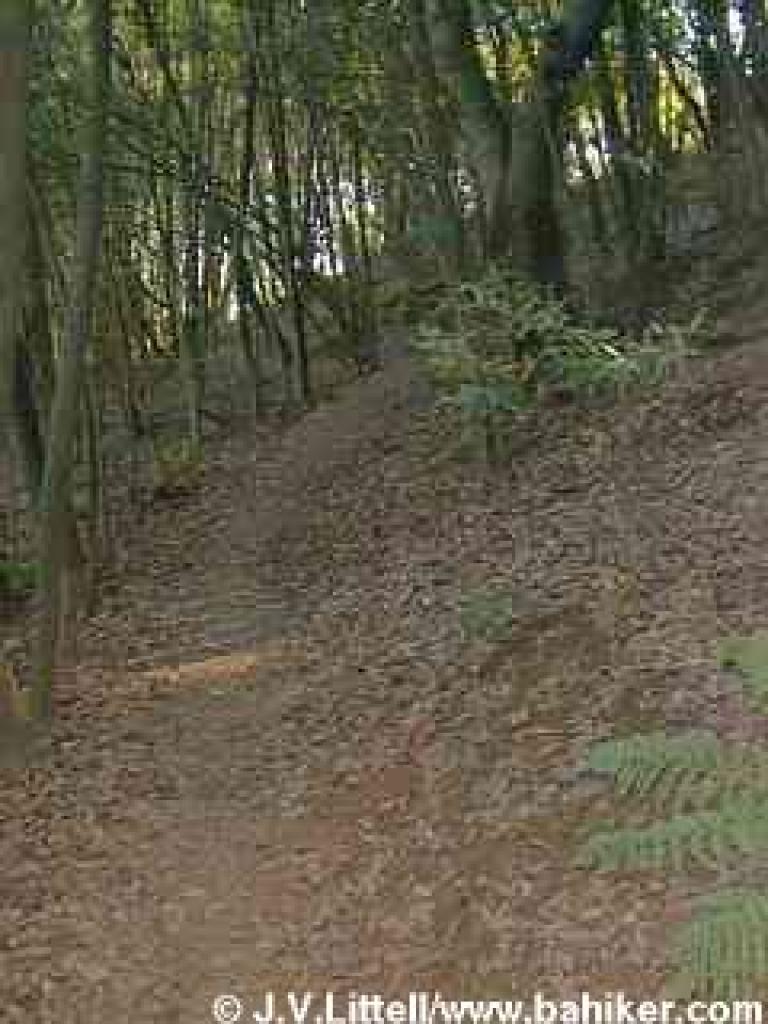 Deer Island Loop Trail