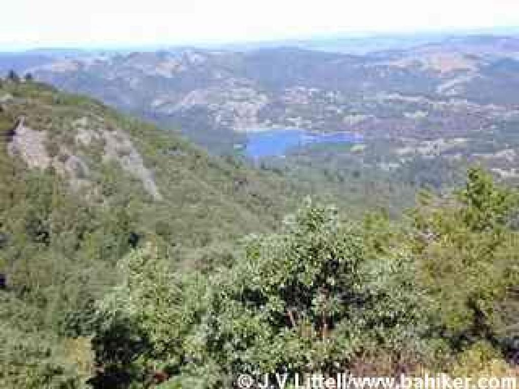 View north from Verna Dunshee Trail
