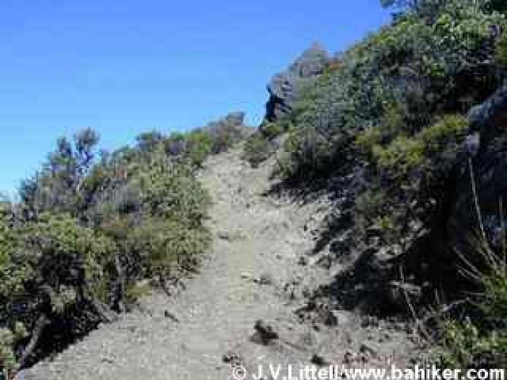 Plankwalk Trail