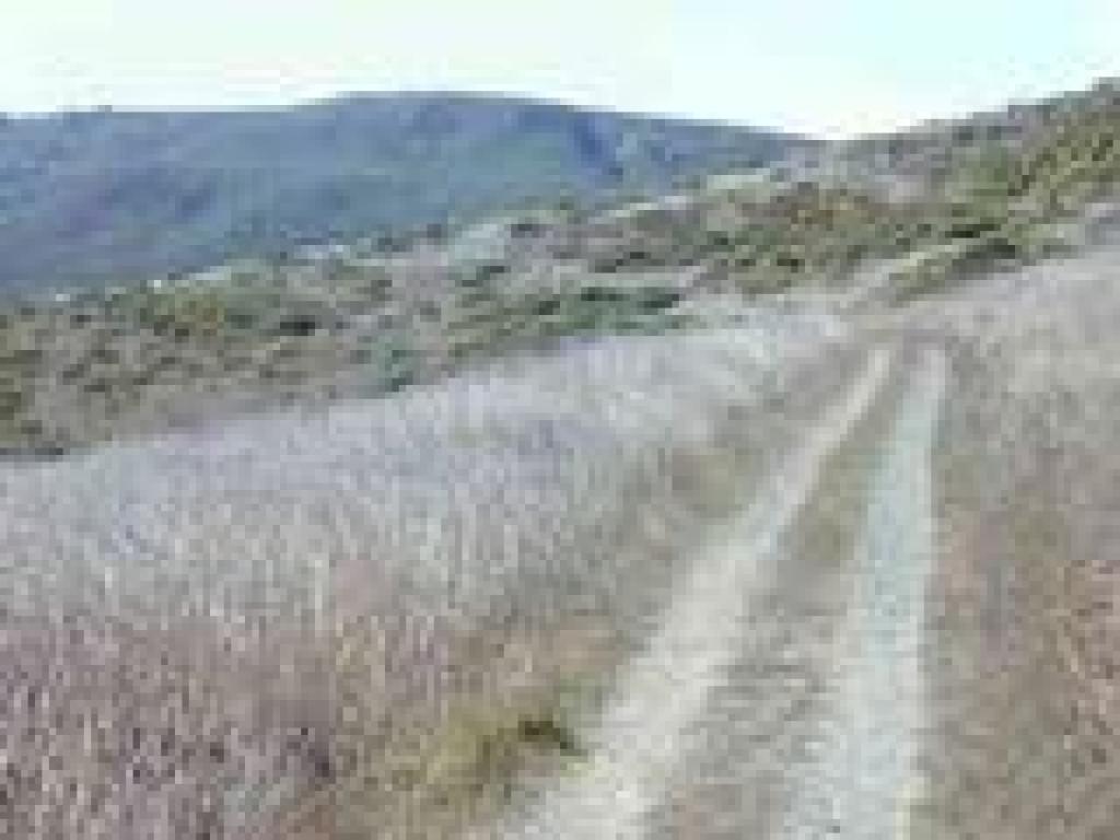 Trail descends easily through grassland