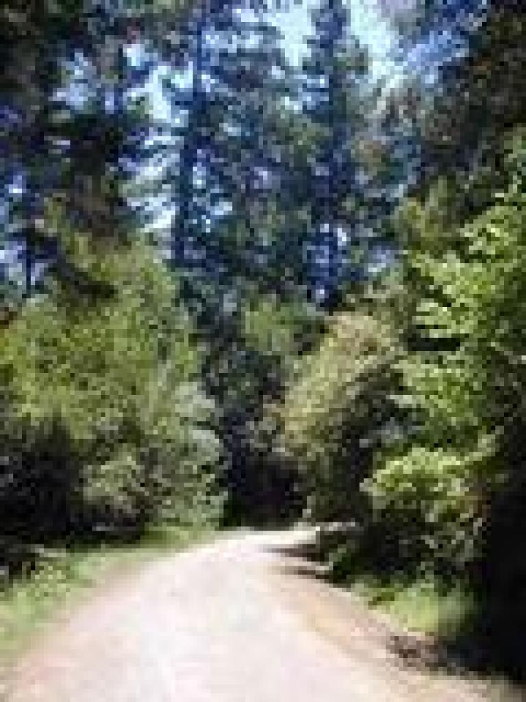 Stewart Trail