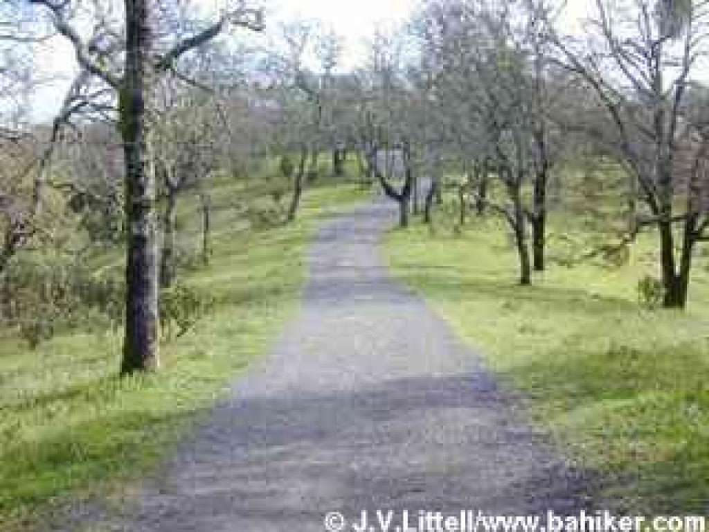 Three Lakes Trail