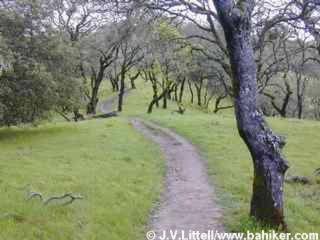 Alta Vista Trail
