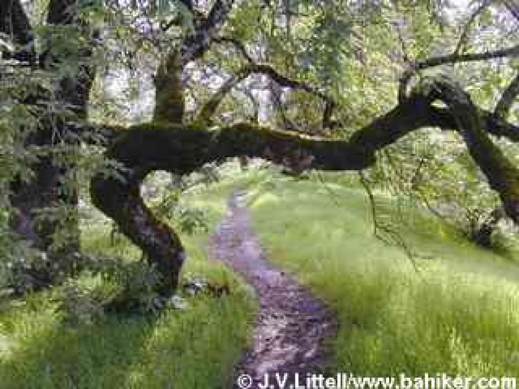 Photo from Foothill Regional Park