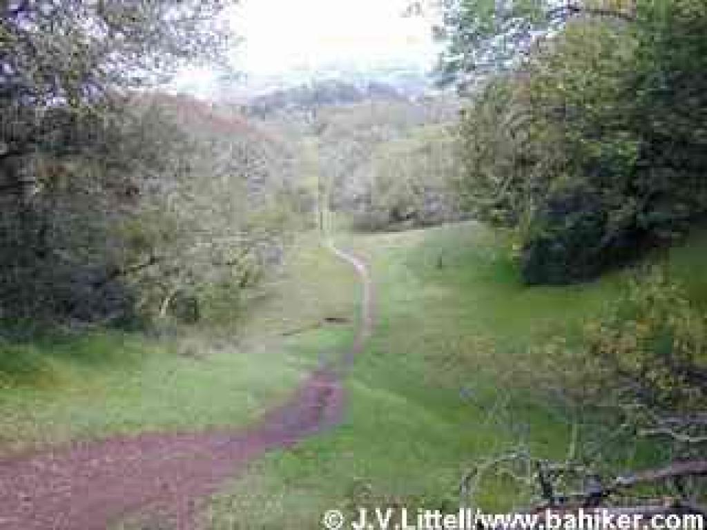 Descending on Alta Vista Trail