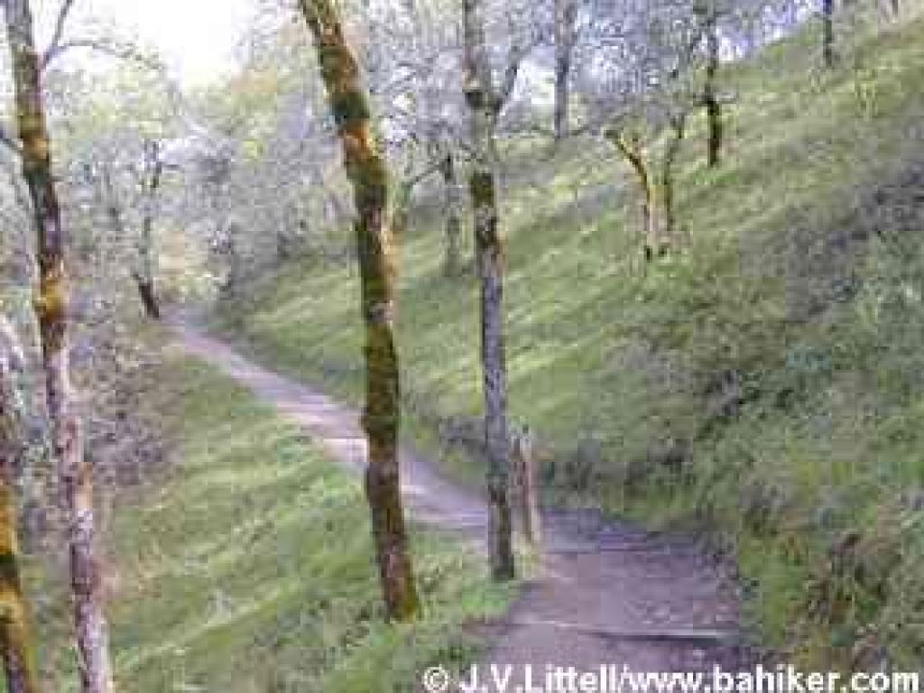 Oakwood Trail