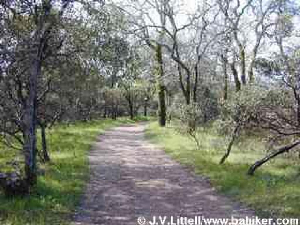 Westside Trail