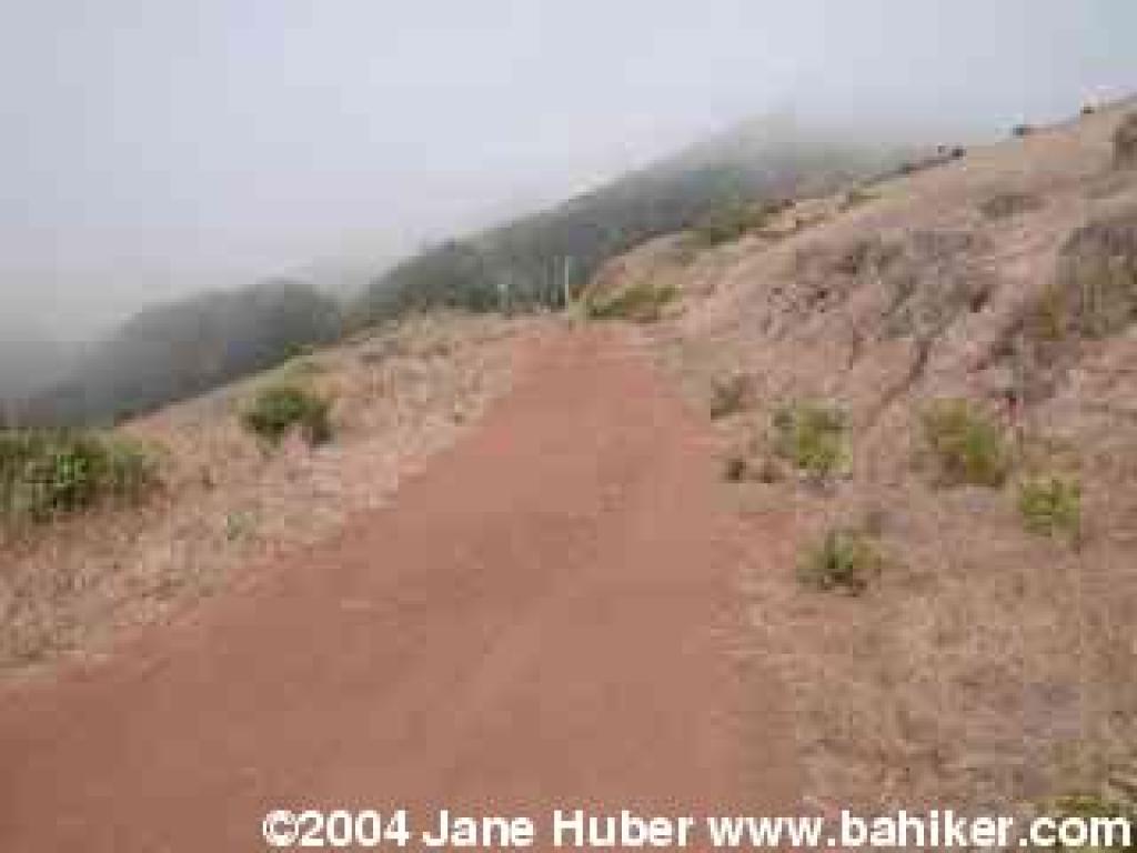 Drown Fire Road