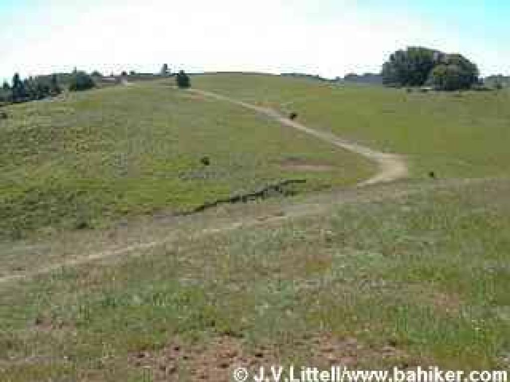 Grassy hillside provide contrast to woods and cypress