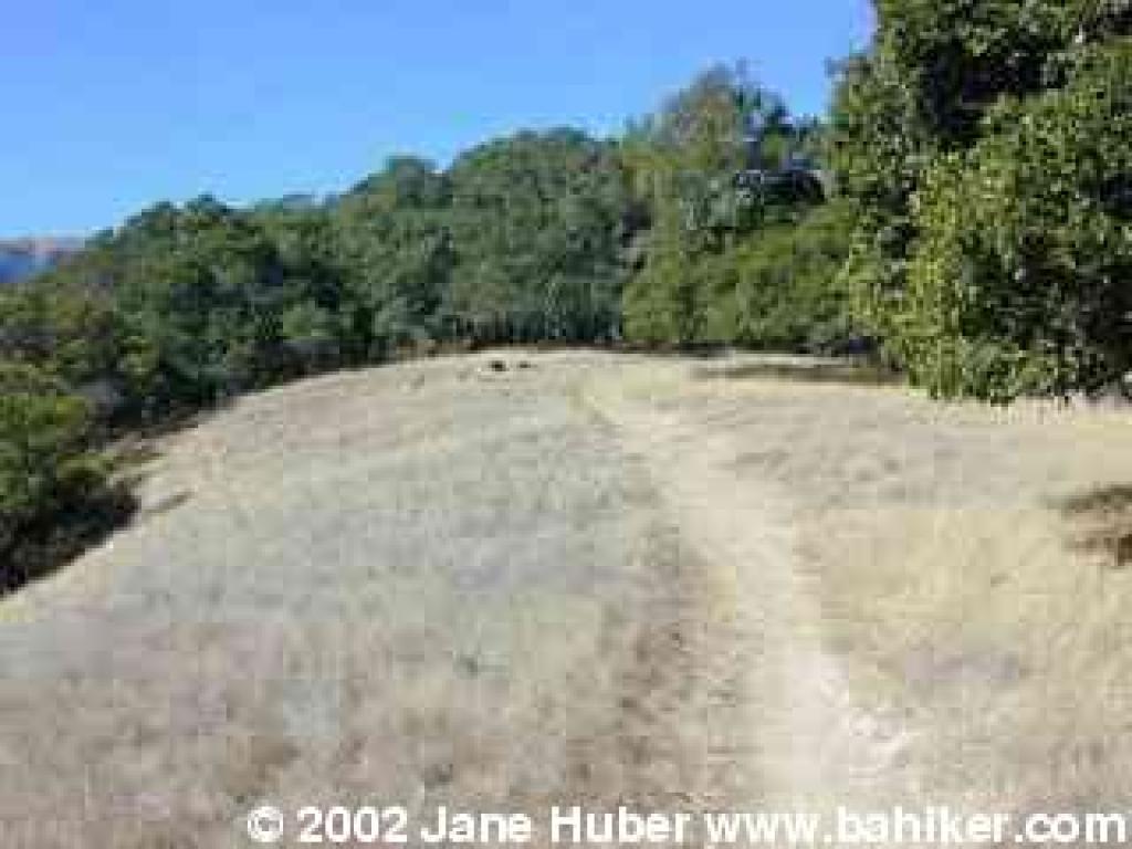 Eagle Trail
